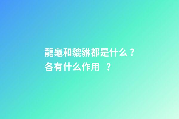 龍龜和貔貅都是什么？各有什么作用？